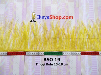 BSO 19  large2